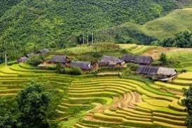 Khám phá đủ cảnh đẹp Sapa cùng INTOUR CN SAPA