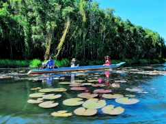 Tour Tiền Giang - Cần Thơ - Châu Đốc - Rừng Chàm Trà Sư (3N2Đ) 1.790.000VNĐ