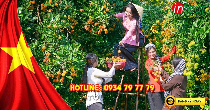 Tour lễ 30/4-1/5: Tour Miền Tây - Vĩnh Long 1 ngày 690.000VNĐ/K