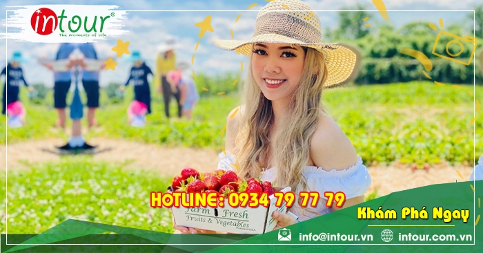 Tour Teambuilding Đồng Nai đi Đà Lạt 1.580.000VNĐ (03 ngày 03 đêm)