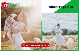 Tour nghỉ dưỡng Bình Châu - Long Hải (2 ngày 1 đêm) 1.190.000VNĐ