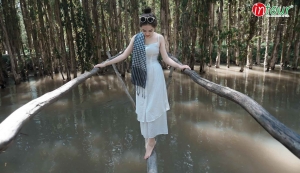 tour-tet-nguyen-dan-quy-ty-2013-mien-tay-song-nuoc