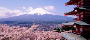 Tour Nhật Bản giá rẻ 5 ngày 5 đêm – ngắm mùa xuân Tokyo