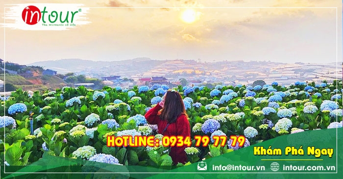 Tour cao cấp Đà Lạt KS 5*1.9980.000VNĐ (3N2Đ) cho khách lẻ ghép đoàn khởi hành sáng thứ 3 & thứ 6 hàng tuần