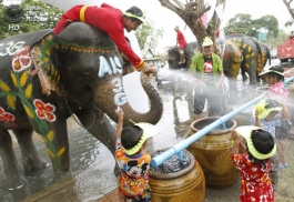 Voi té nước tết Songkran ở Thái Lan