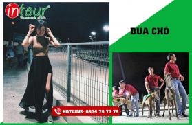 Tour Teambuilding Hậu Giang đi Vũng Tàu 1.500.000VNĐ (02 ngày 02 đêm)