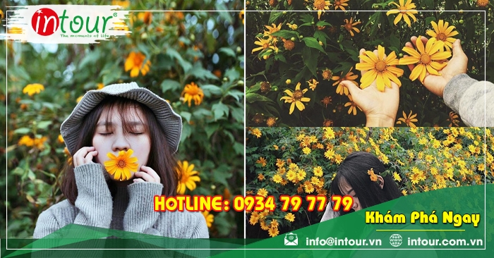 Tour Team Building Đà Lạt khởi hành Long An 1.650.000VNĐ (03 ngày 03 đêm)