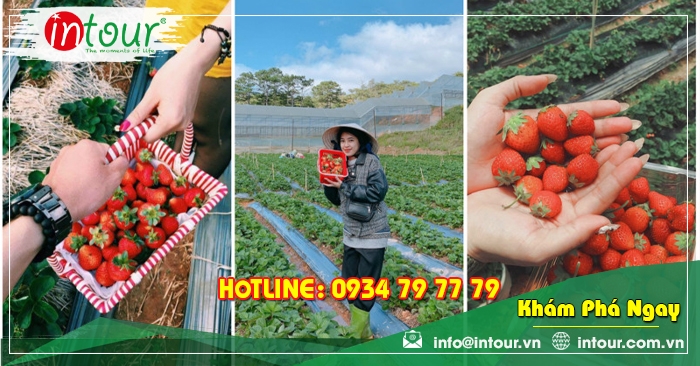 Tour Nha Trang - Đà Lạt khởi hành từ Tra Vinh 2.750.000VNĐ (4N4Đ)