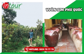 Tour Phú Quốc khởi hành từ Vĩnh Long bằng xe + Tàu 2.480.000VNĐ (03 ngày 03 đêm)