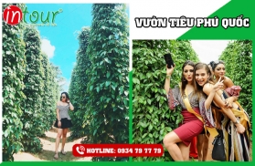 Tour Phú Quốc khởi hành từ Đồng Tháp bằng xe + Tàu 2.470.000VNĐ (03 ngày 03 đêm)   