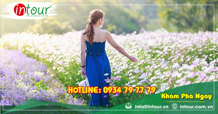 Tour giá rẻ Đà Nẵng - Đà Lạt 1.680.000VNĐ (3 ngày 2 đêm) 